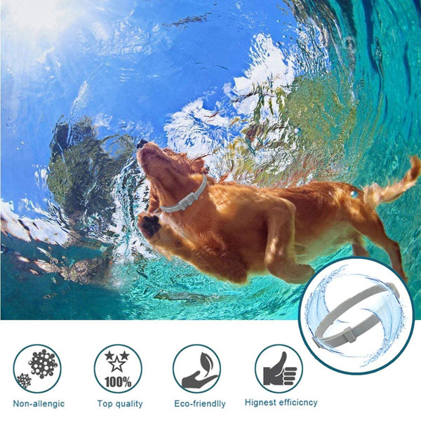 GLEADING Collar Anti pulgas y garrapatas para Perros y Gatos, prevención de garrapatas y pulgas (62cm)