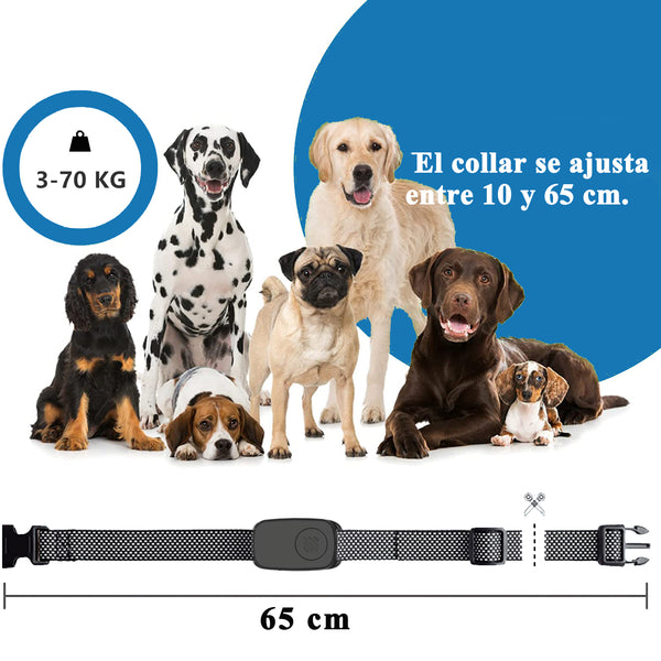 Collar antiladridos con vibración, sonido y descarga eléctrica, collar de módulo inteligente de detección de ladridos para perros(PB22)